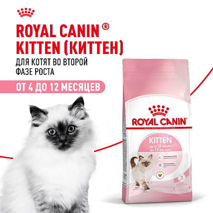 Сухой корм Royal Canin Kitten для котят до 12 месяцев 1.2 кг